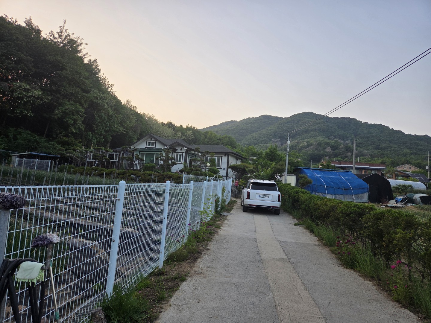 Post image 5