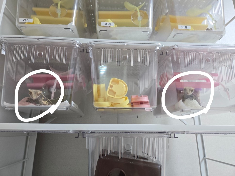 Post image 1