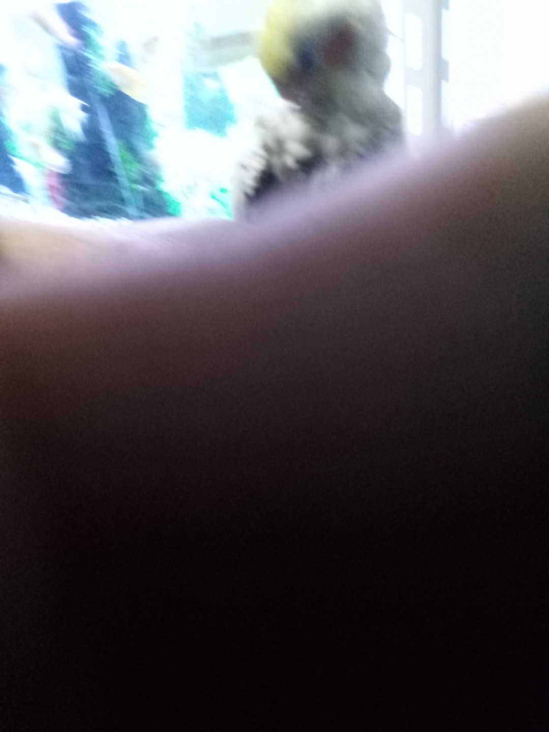 Post image 2