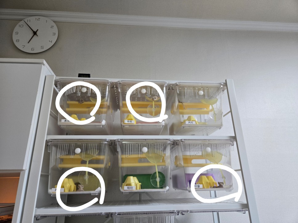 Post image 2