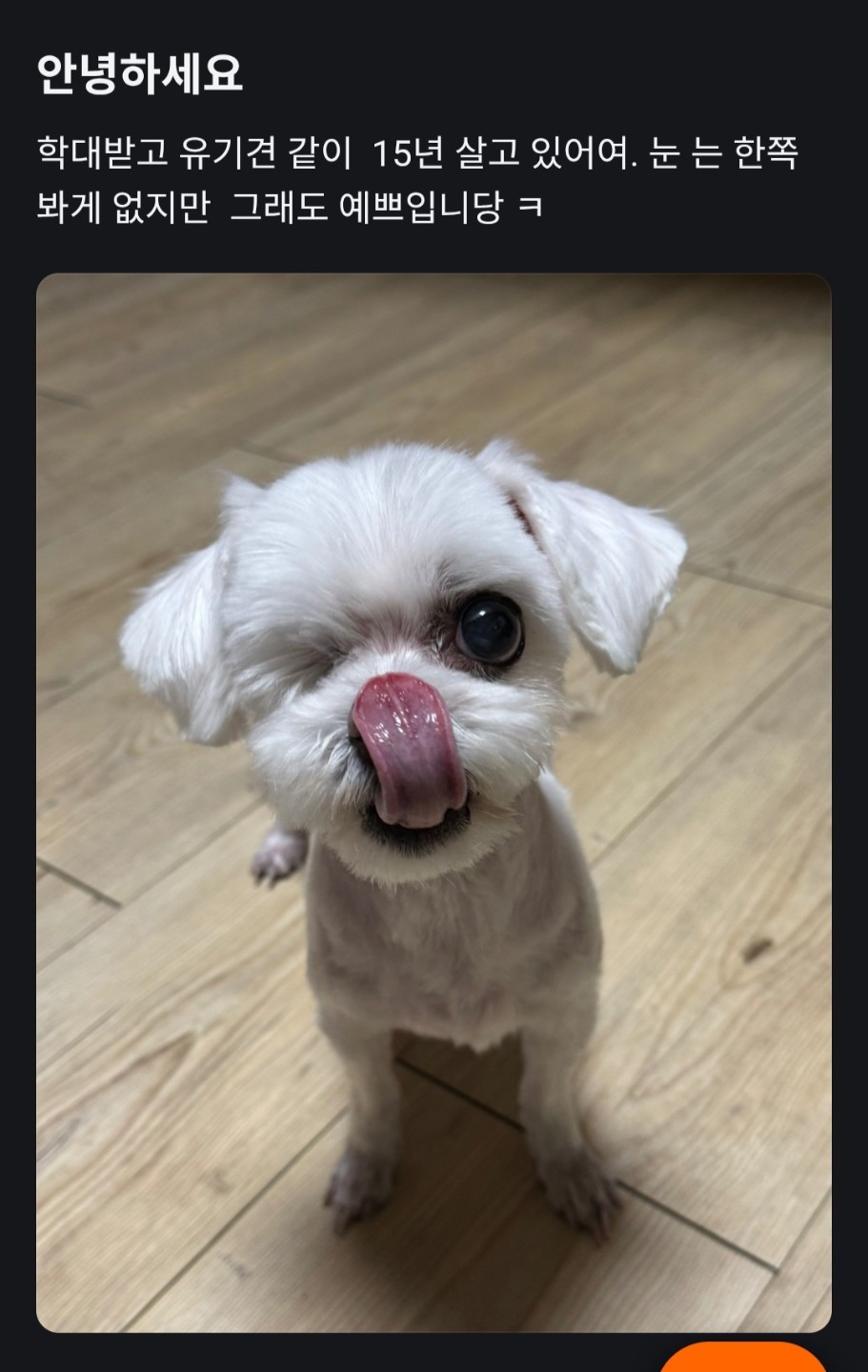 Post image 1