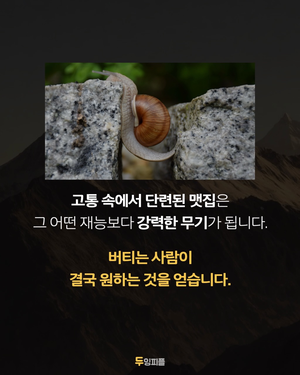 Post image 14