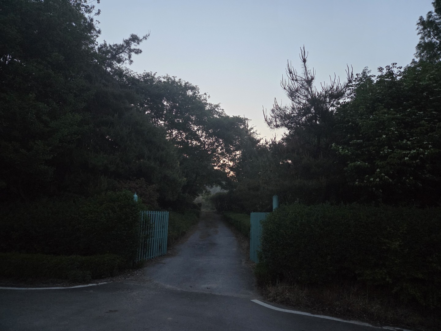 Post image 2