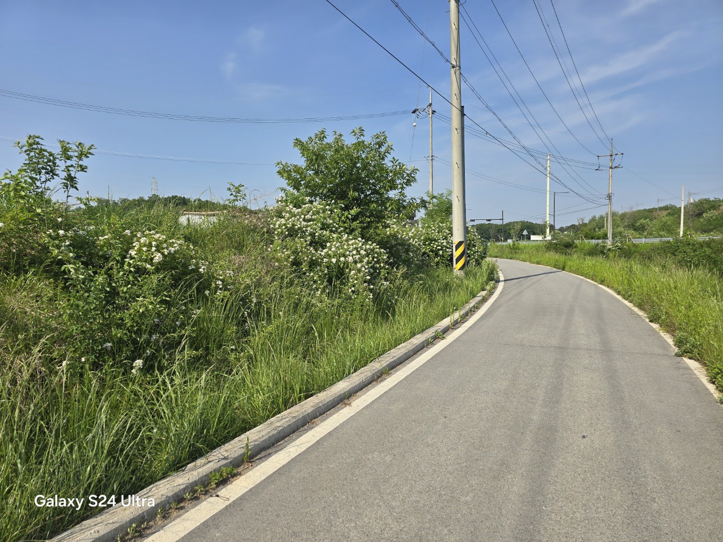 Post image 10