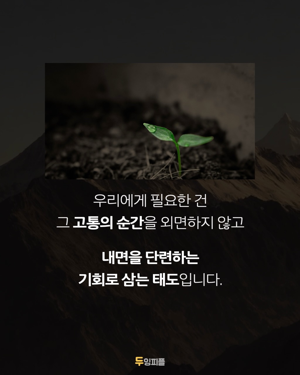 Post image 13