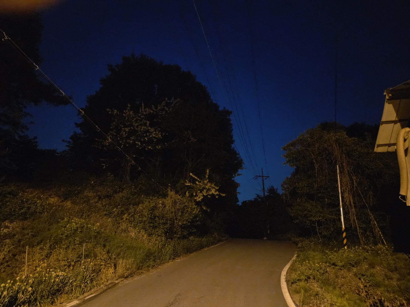Post image 6