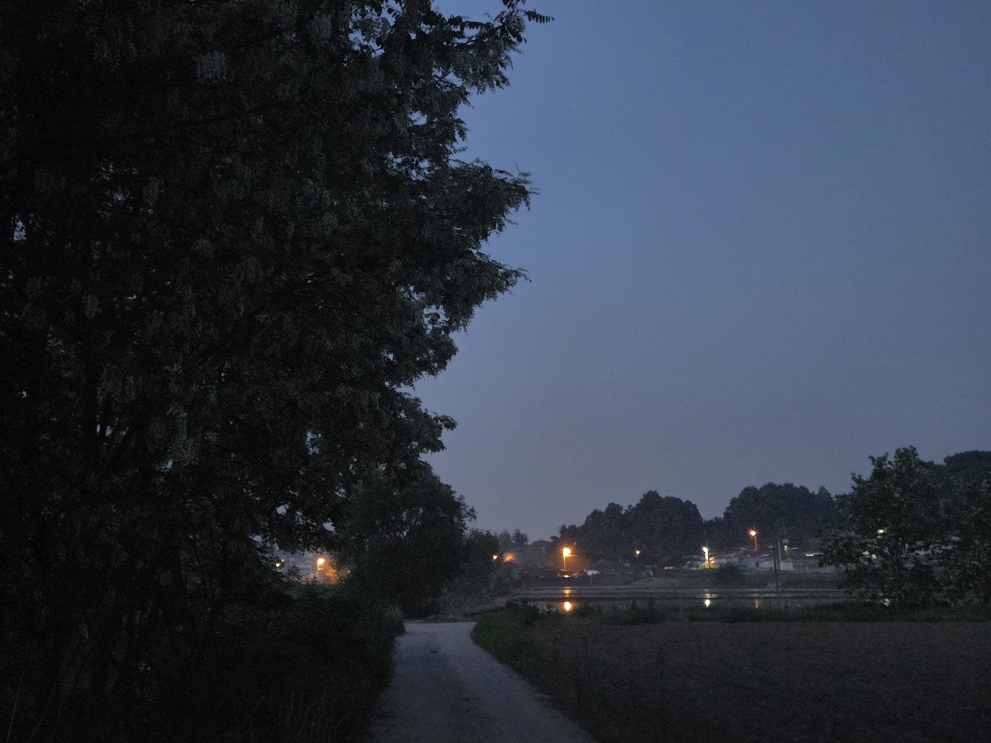 Post image 5