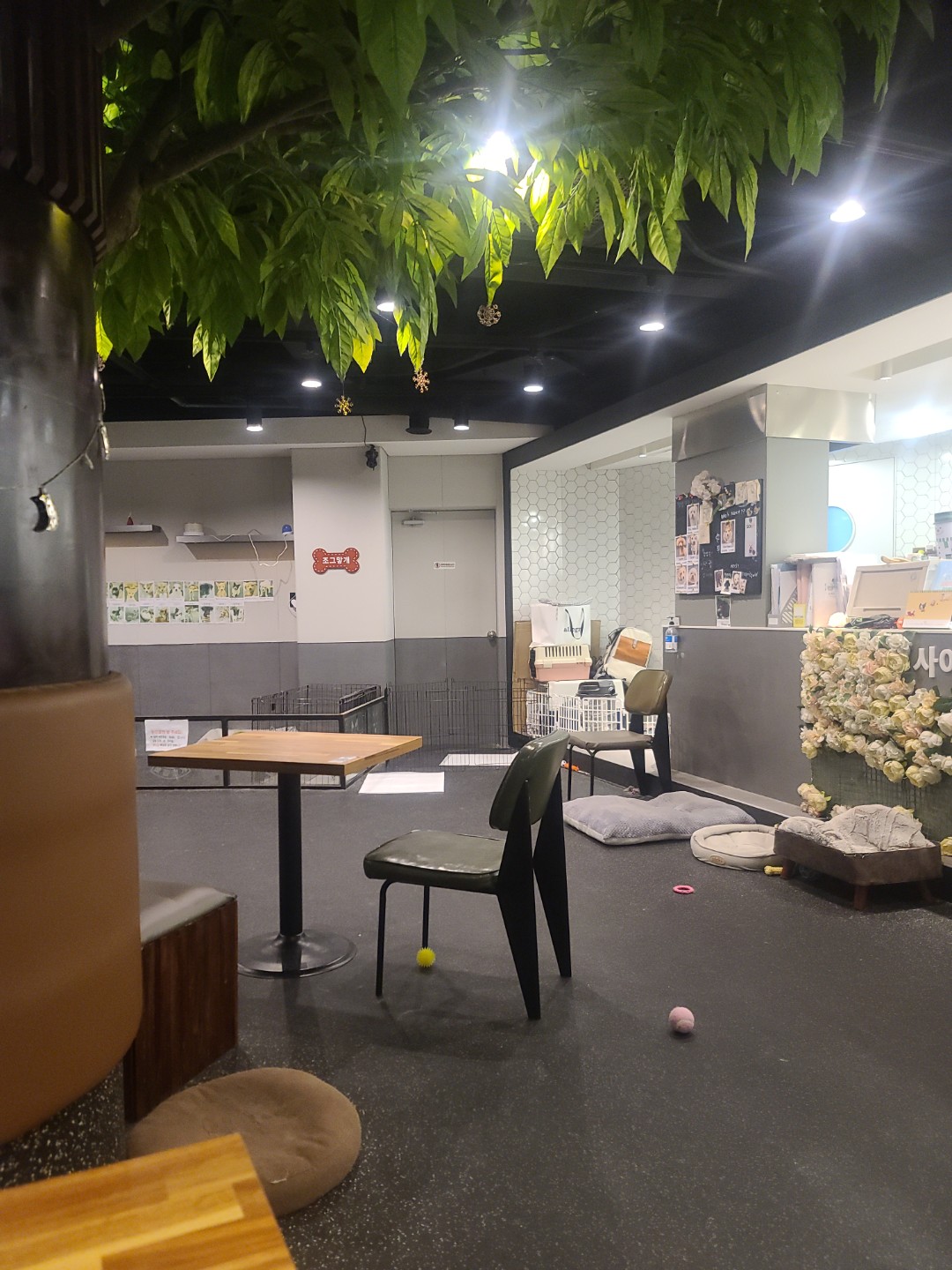 Post image 6