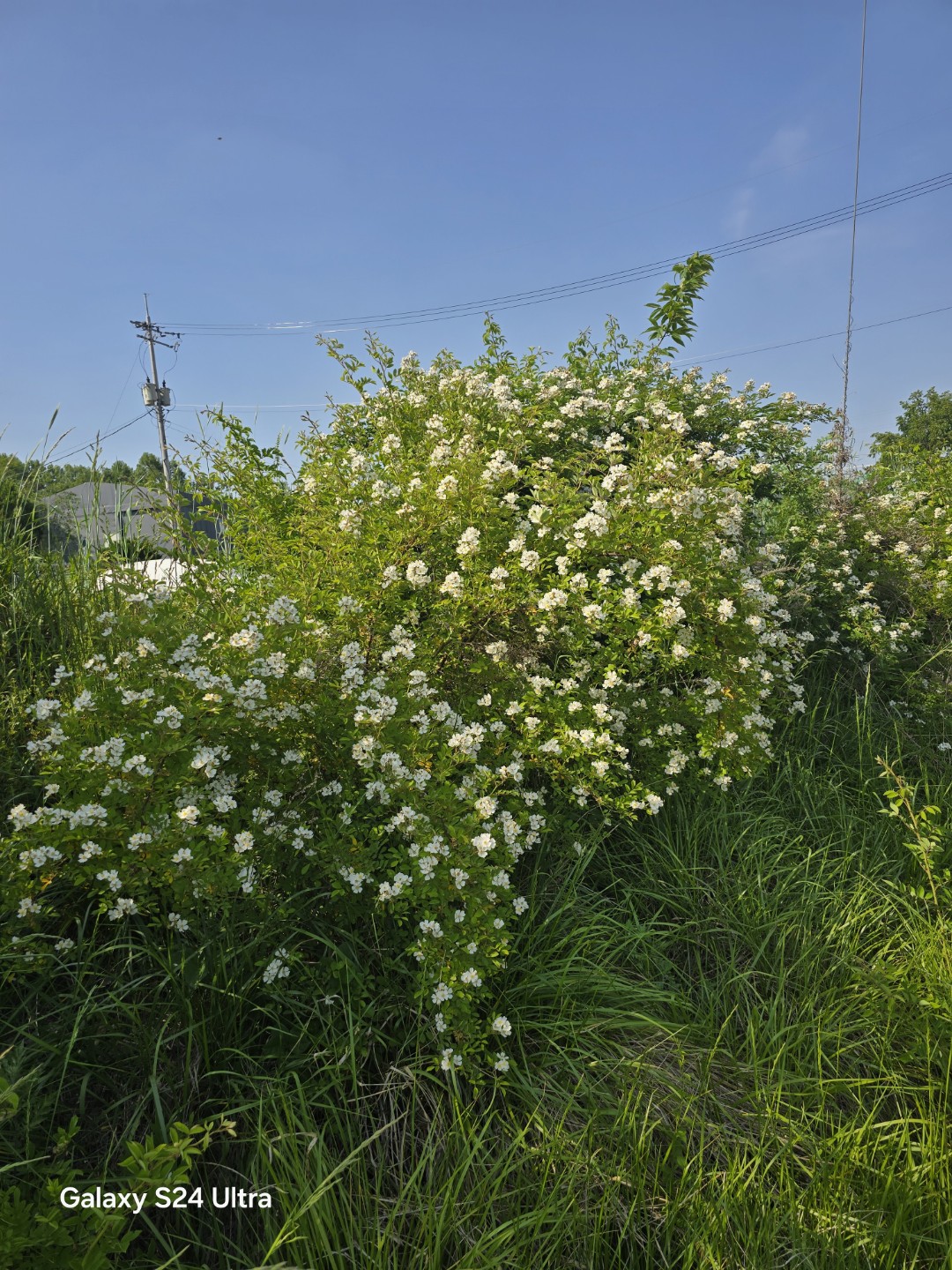 Post image 11