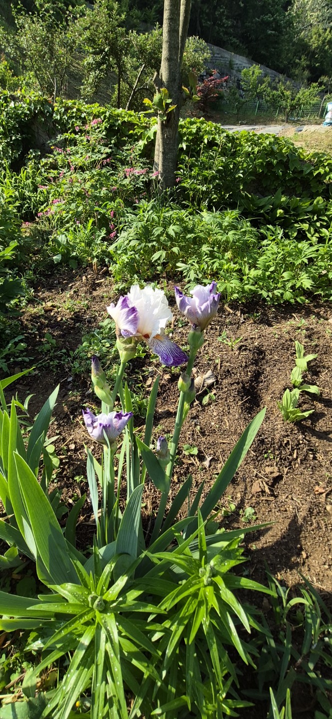 Post image 6