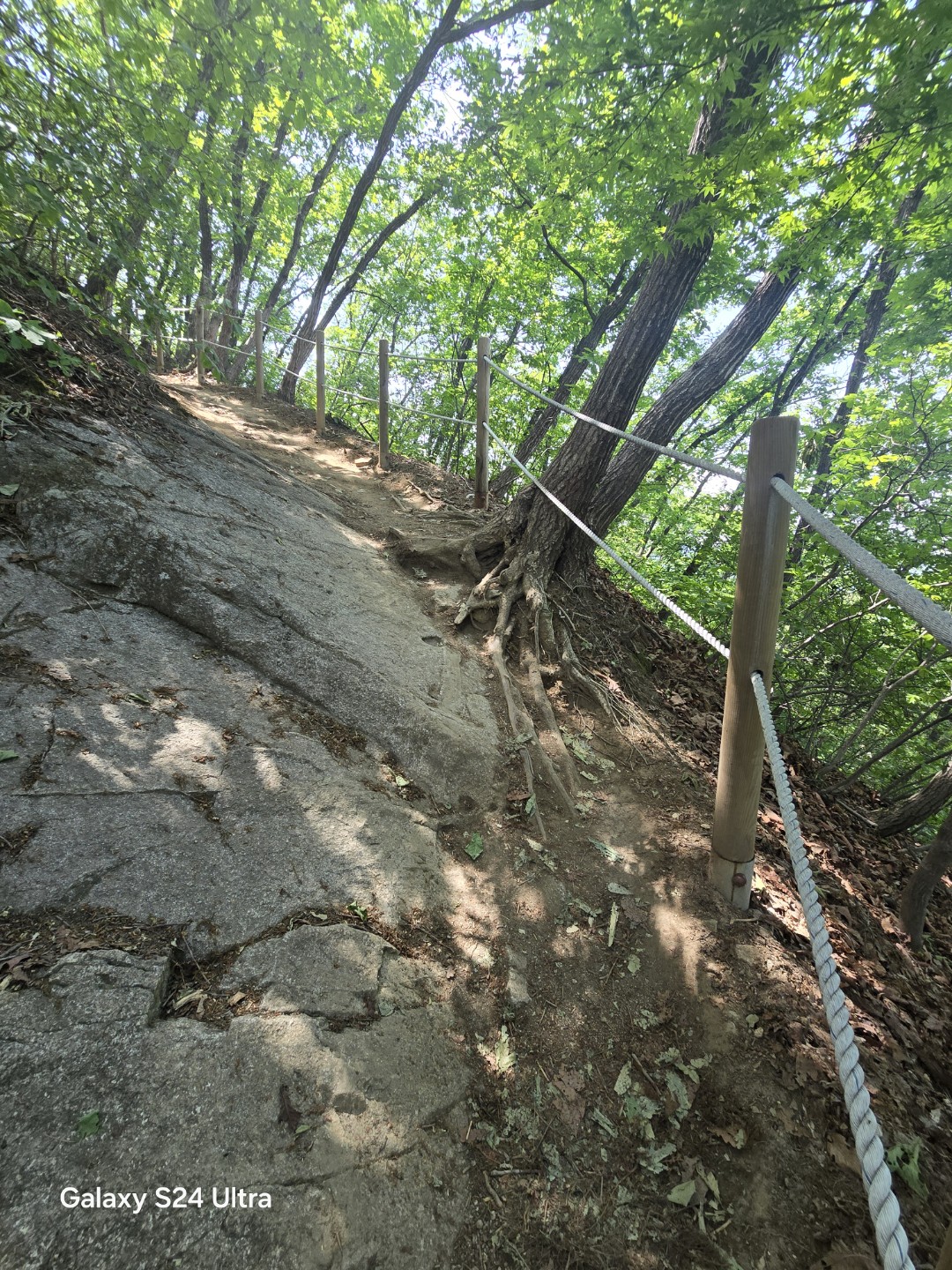 Post image 6