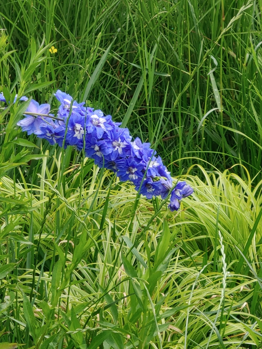 Post image 7