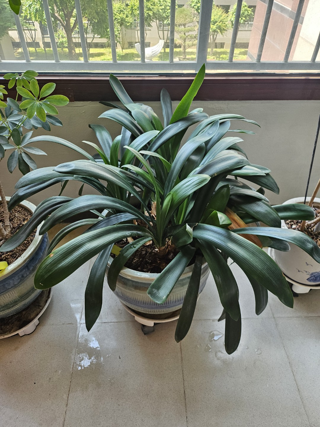 Post image 6
