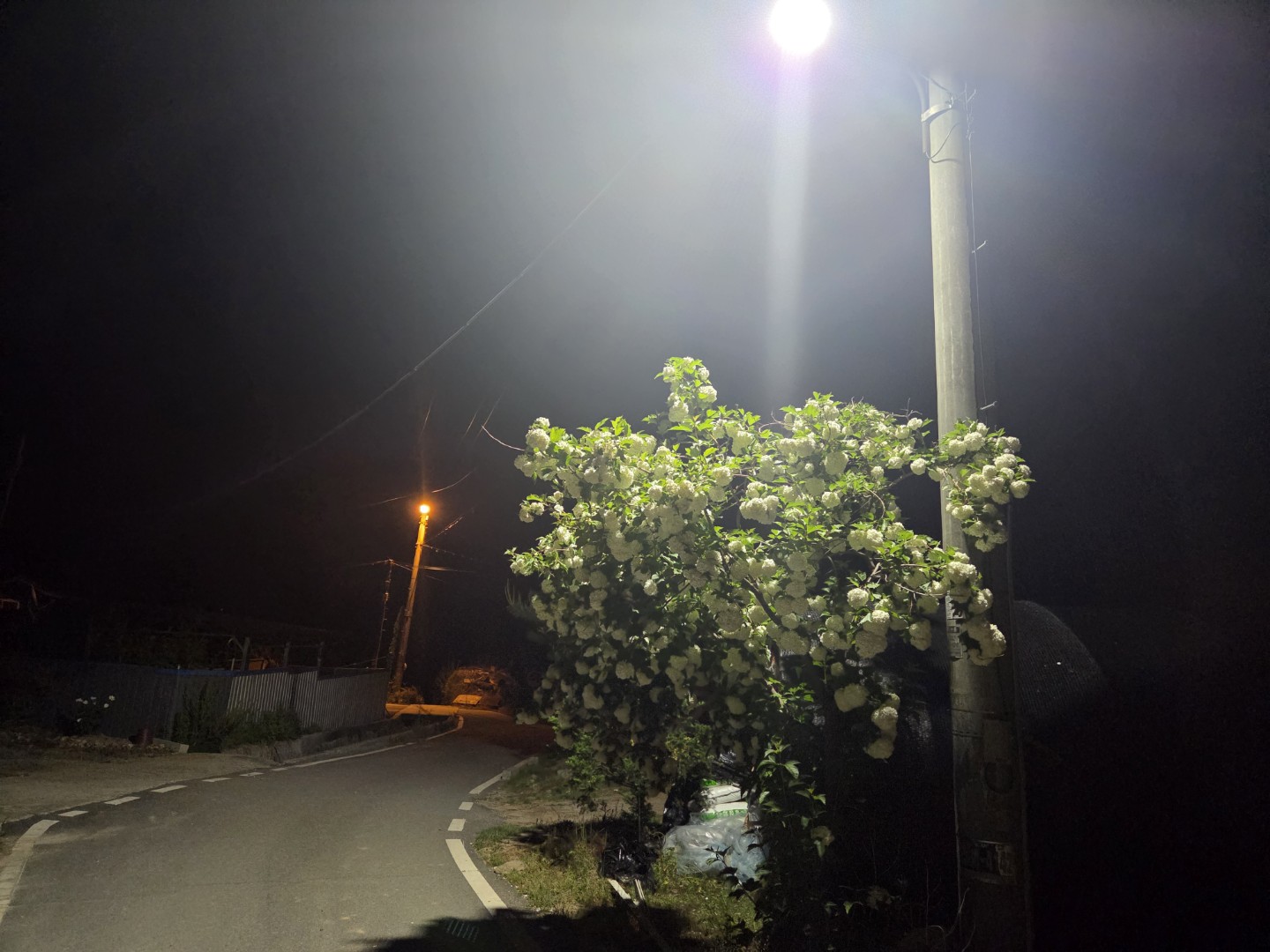 Post image 11