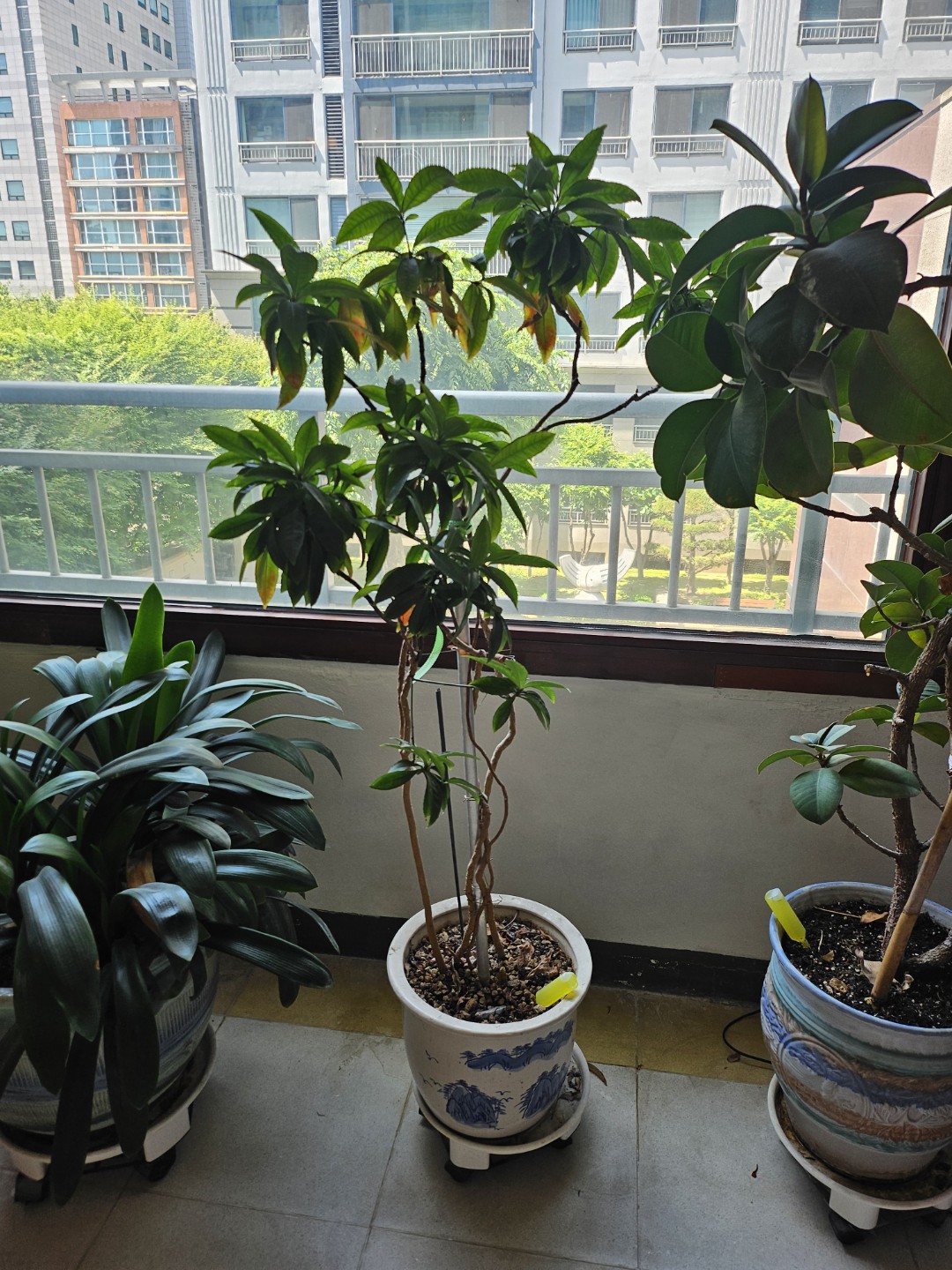 Post image 5