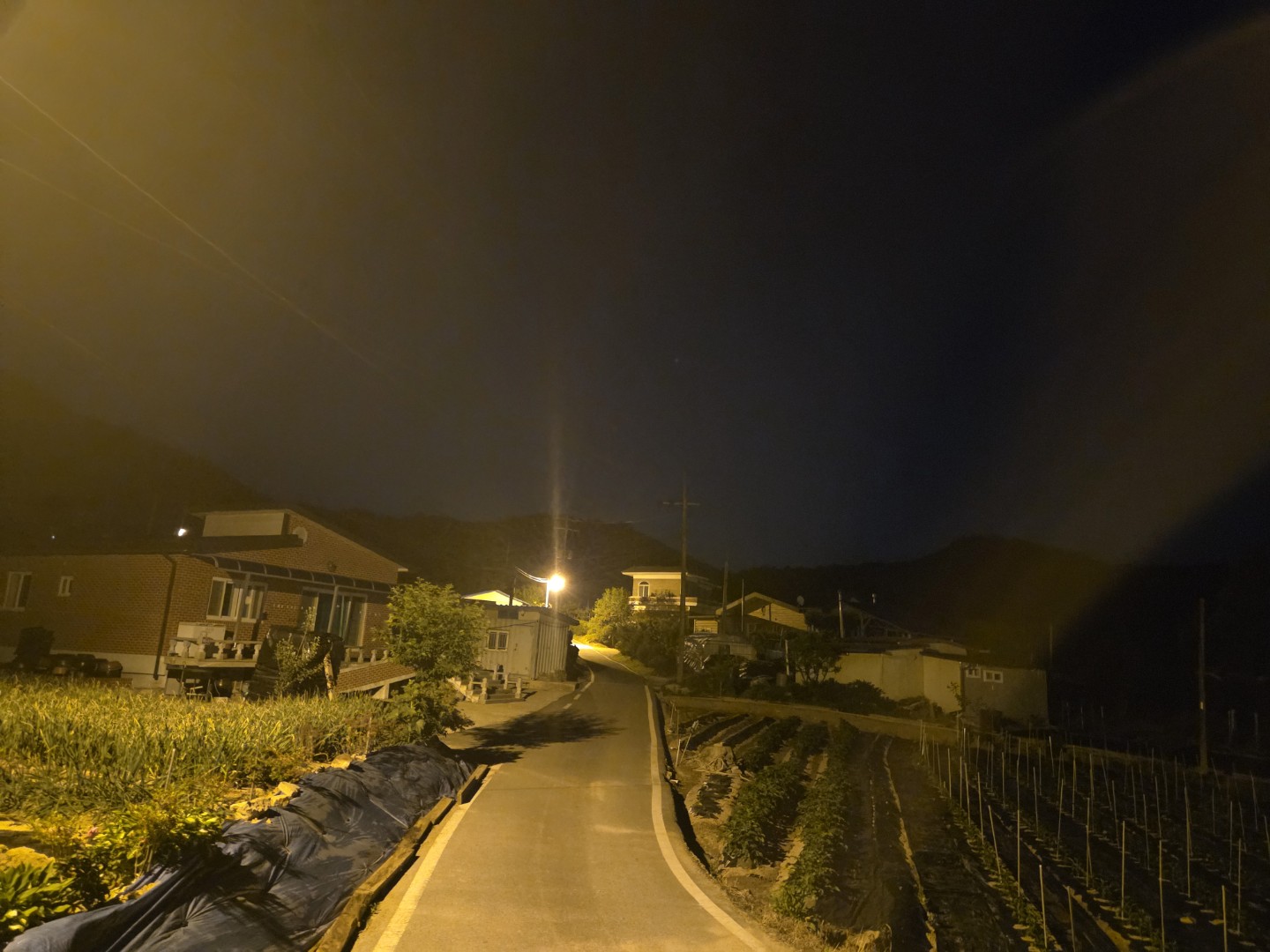 Post image 5
