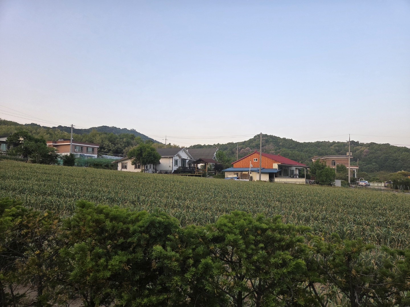 Post image 6