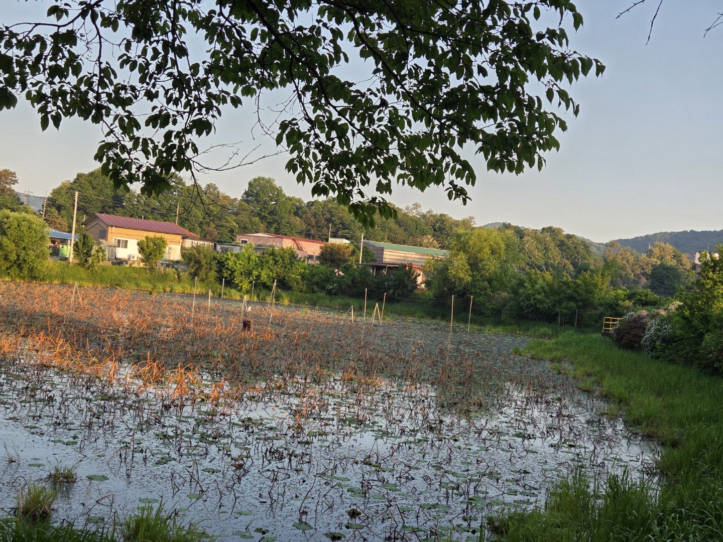 Post image 5
