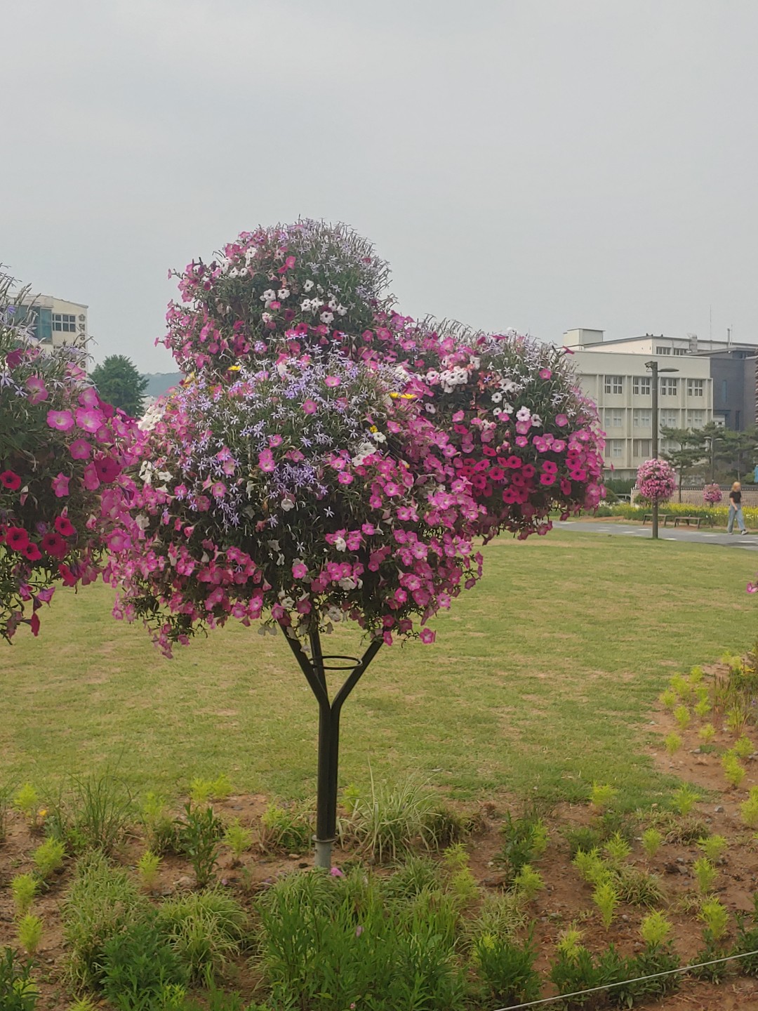 Post image 6