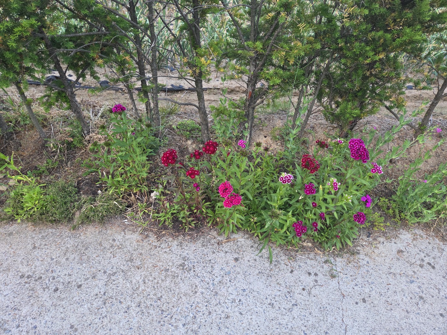 Post image 7