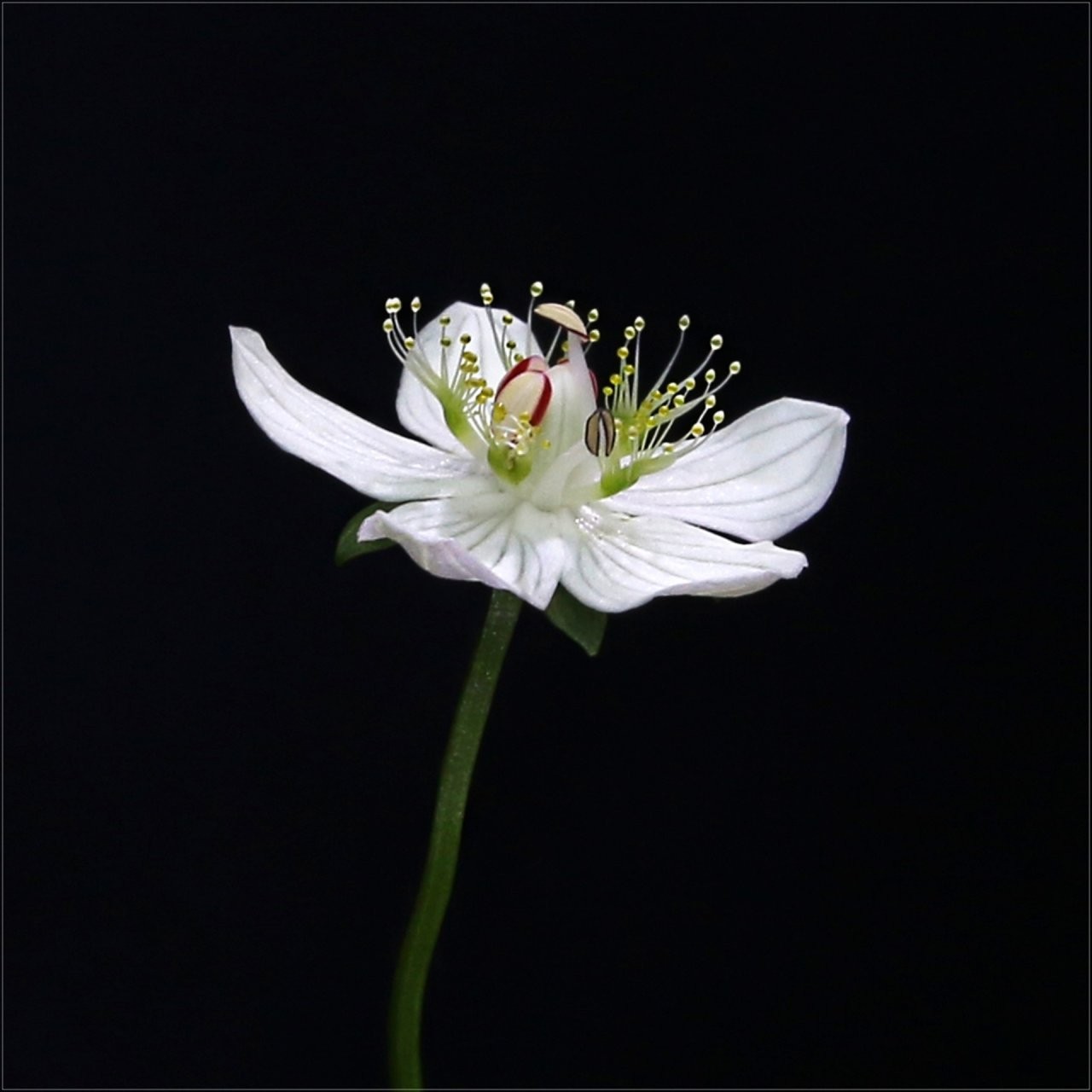Post image 1