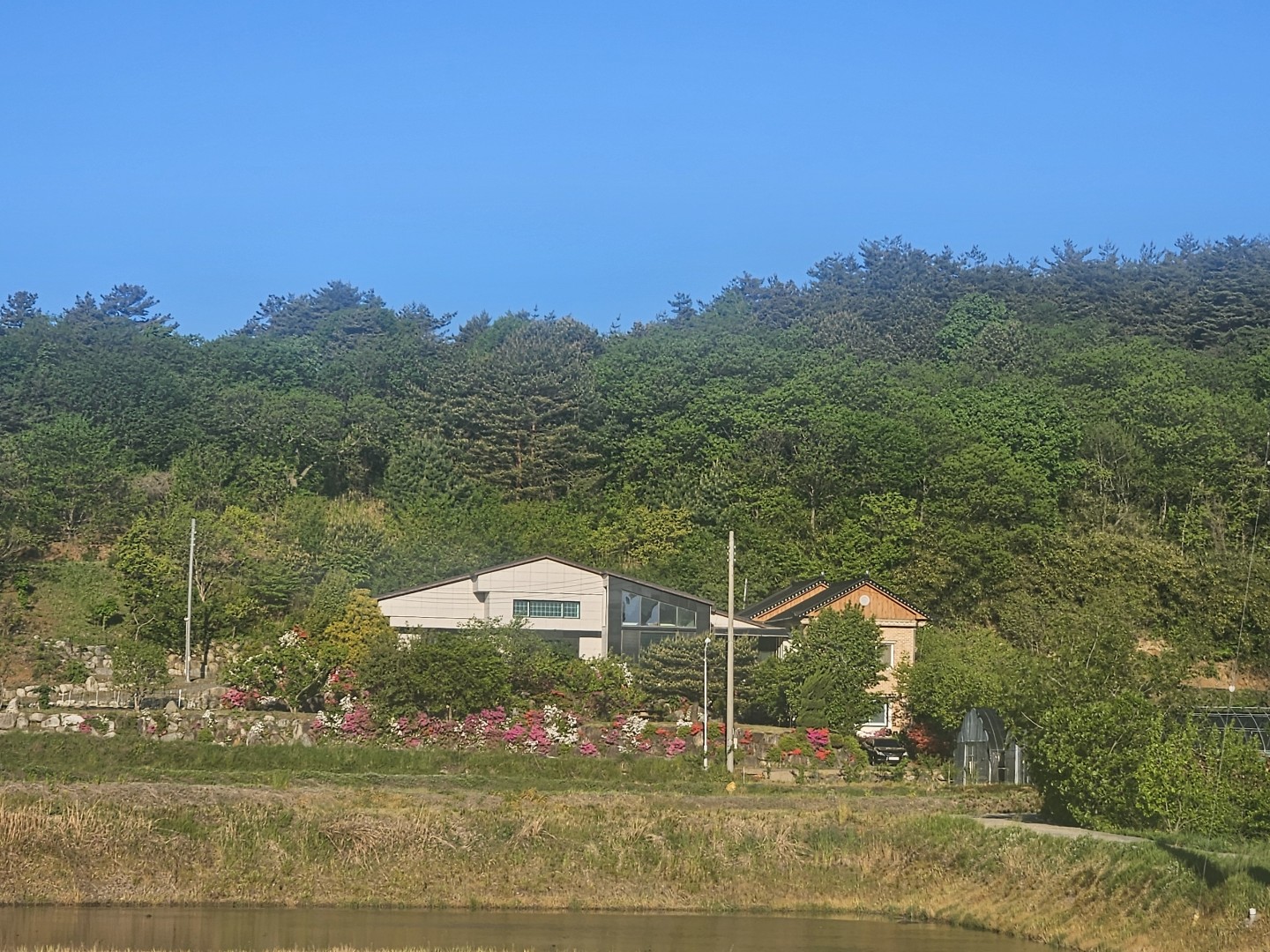 Post image 5