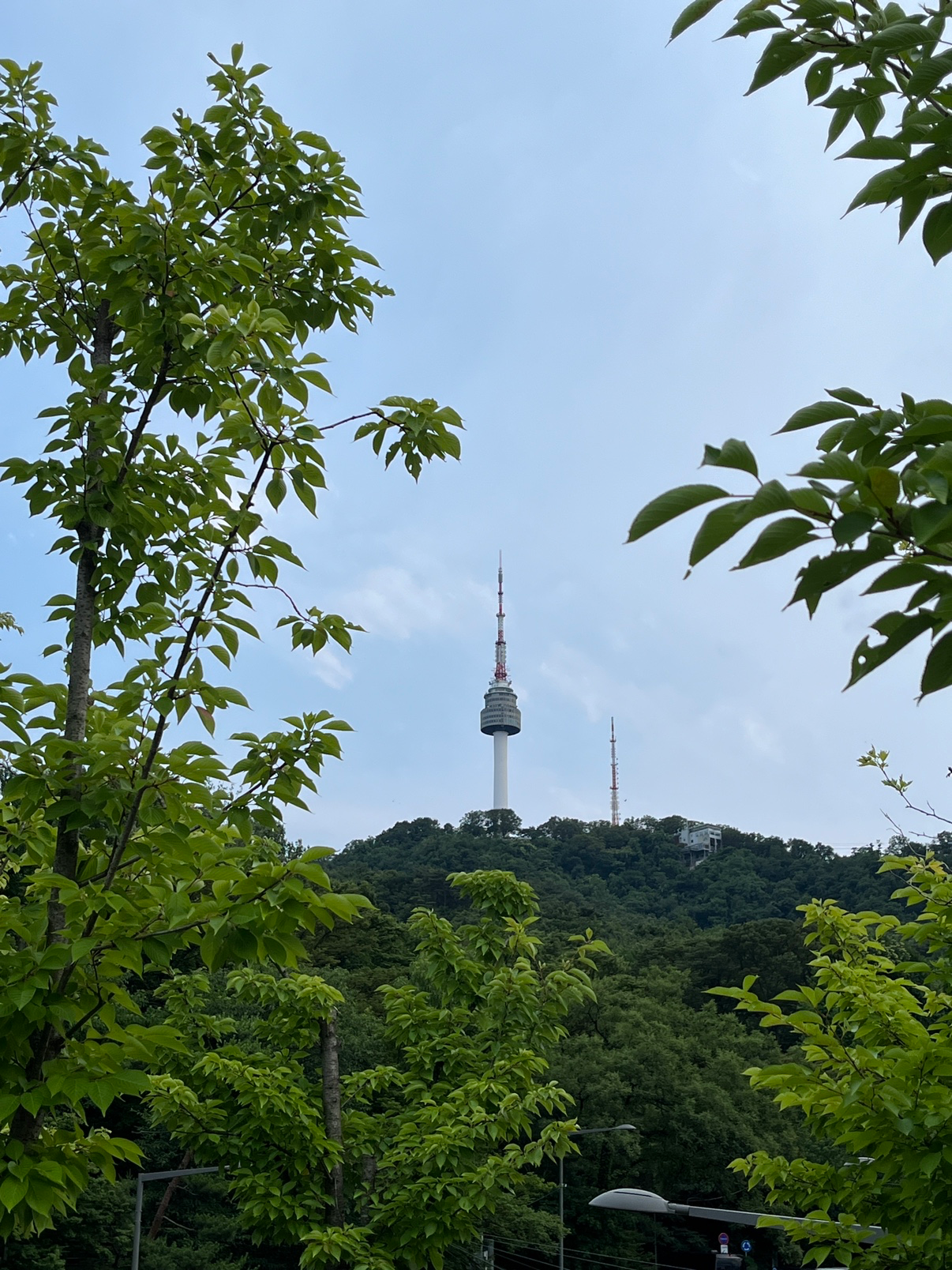 Post image 6