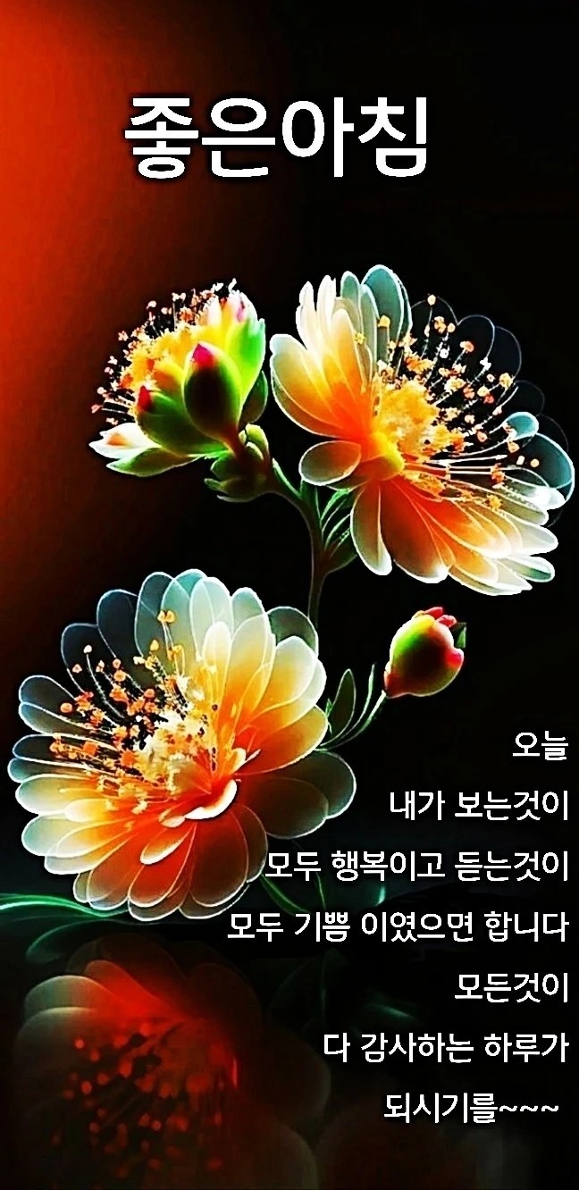 Post image 8