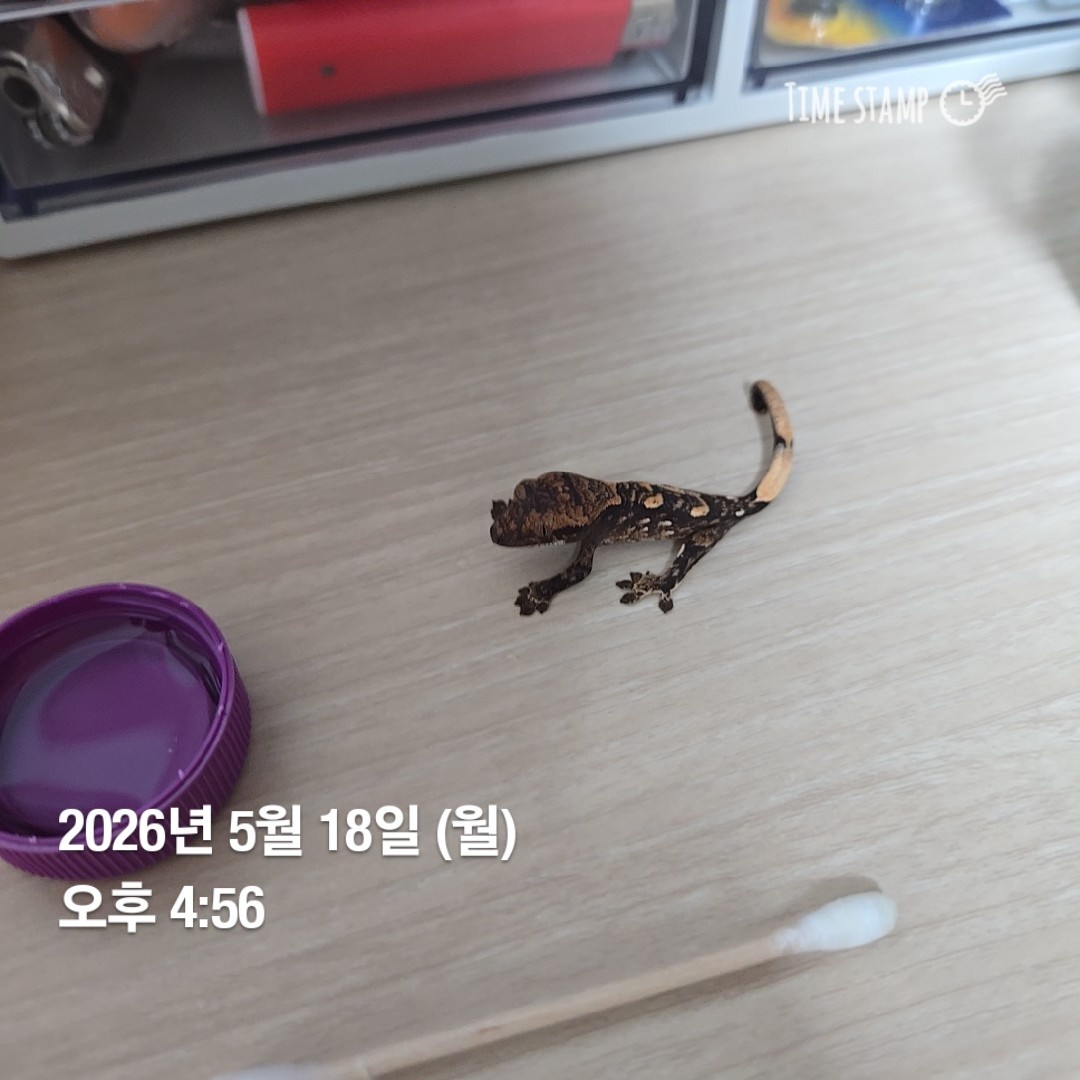 Post image 3