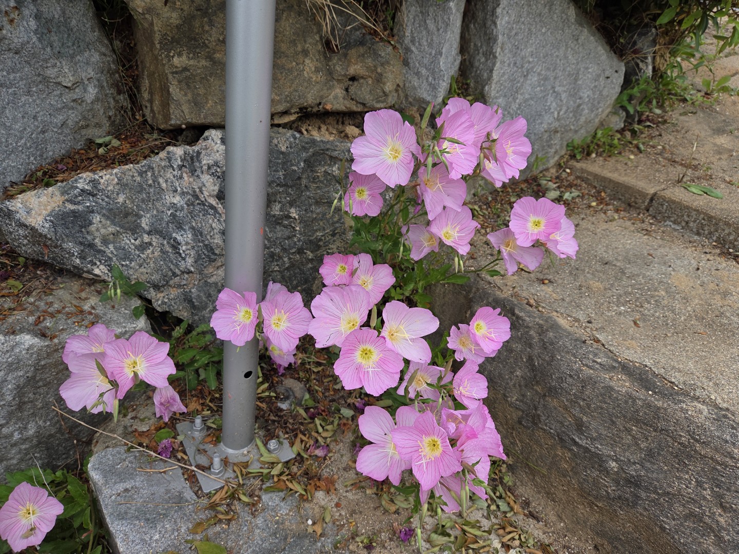 Post image 10