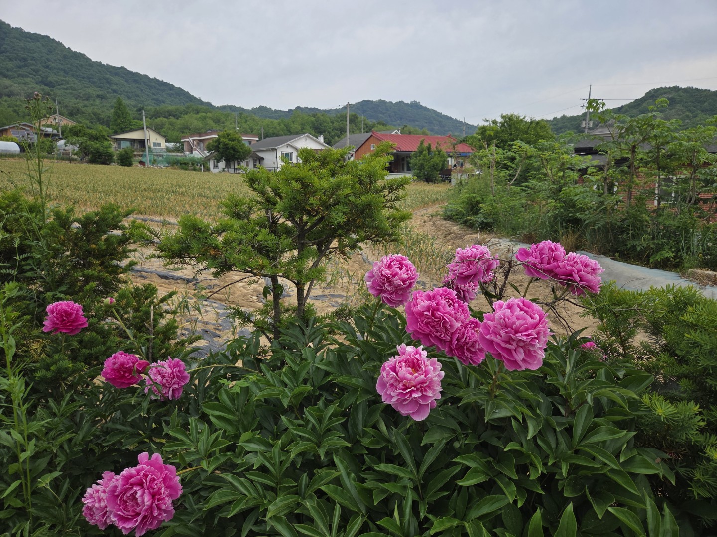 Post image 8