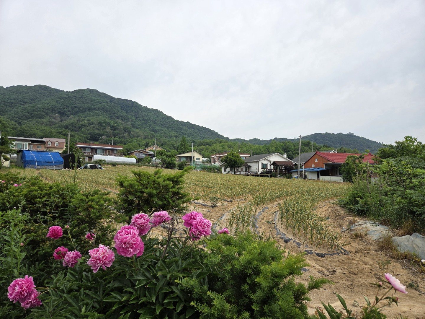 Post image 7