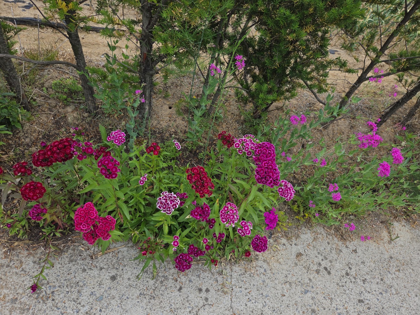 Post image 6