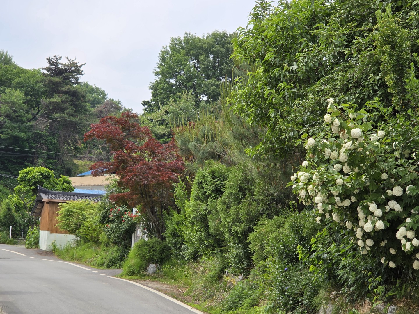 Post image 9