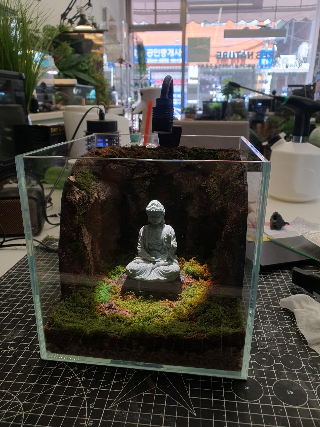 Post image 11