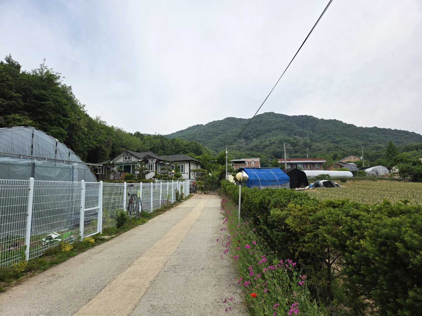 Post image 9