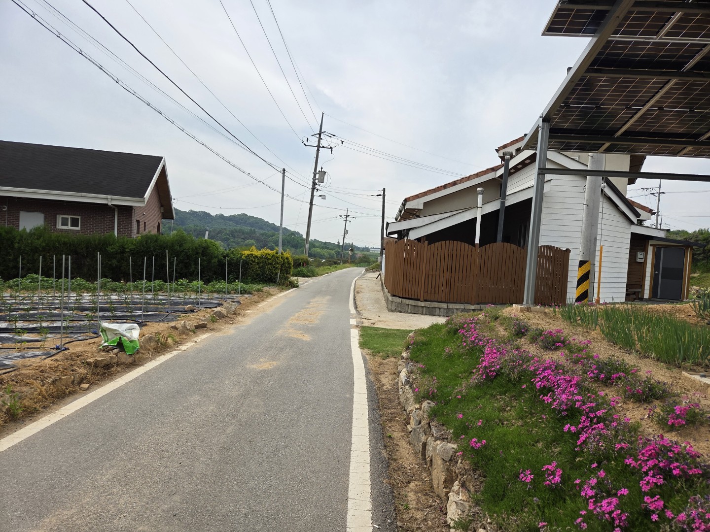 Post image 7