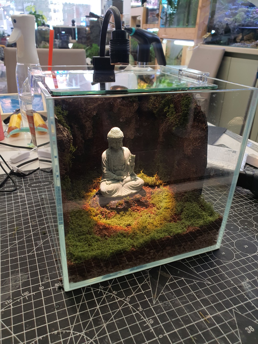 Post image 3