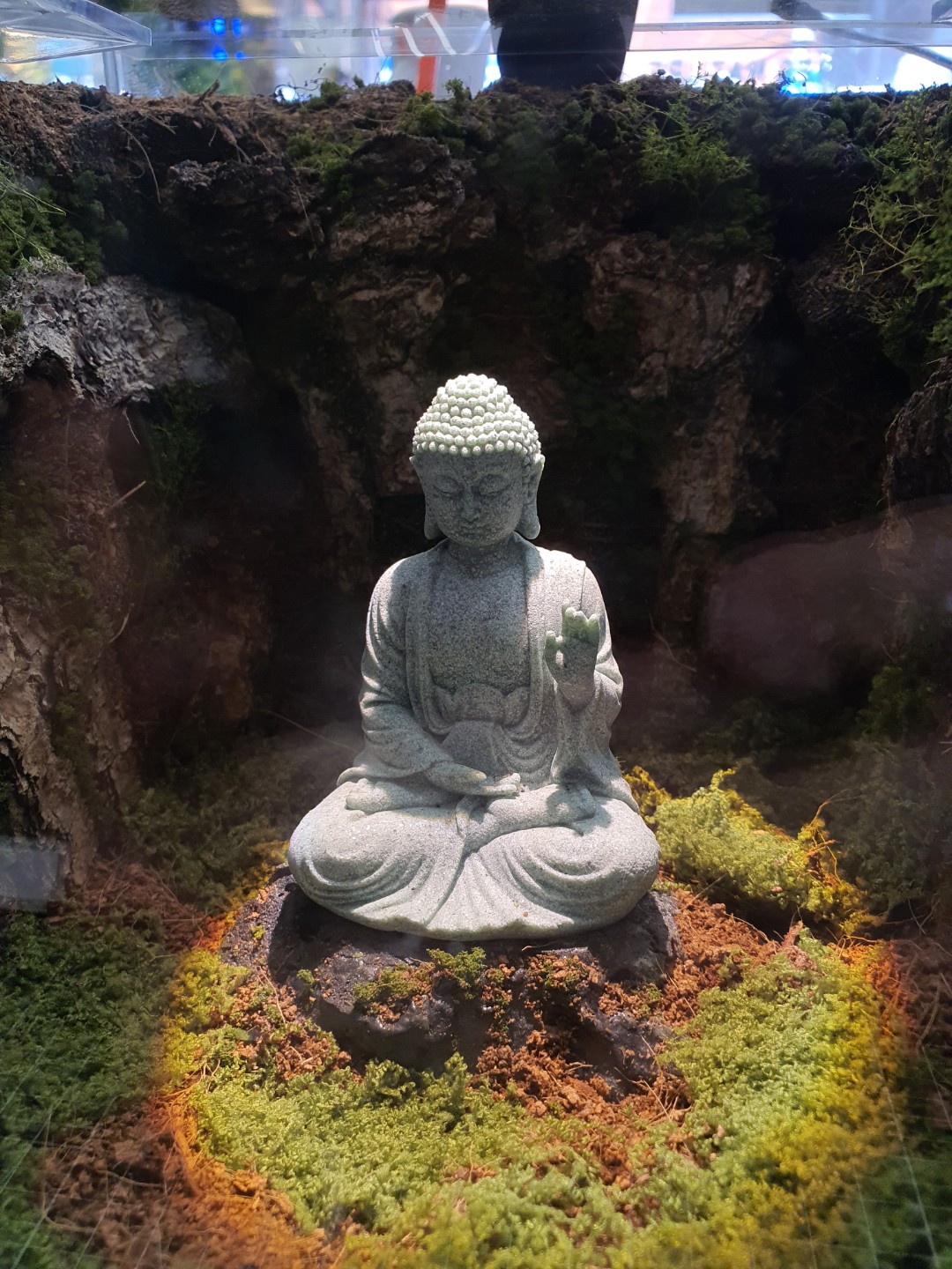 Post image 5