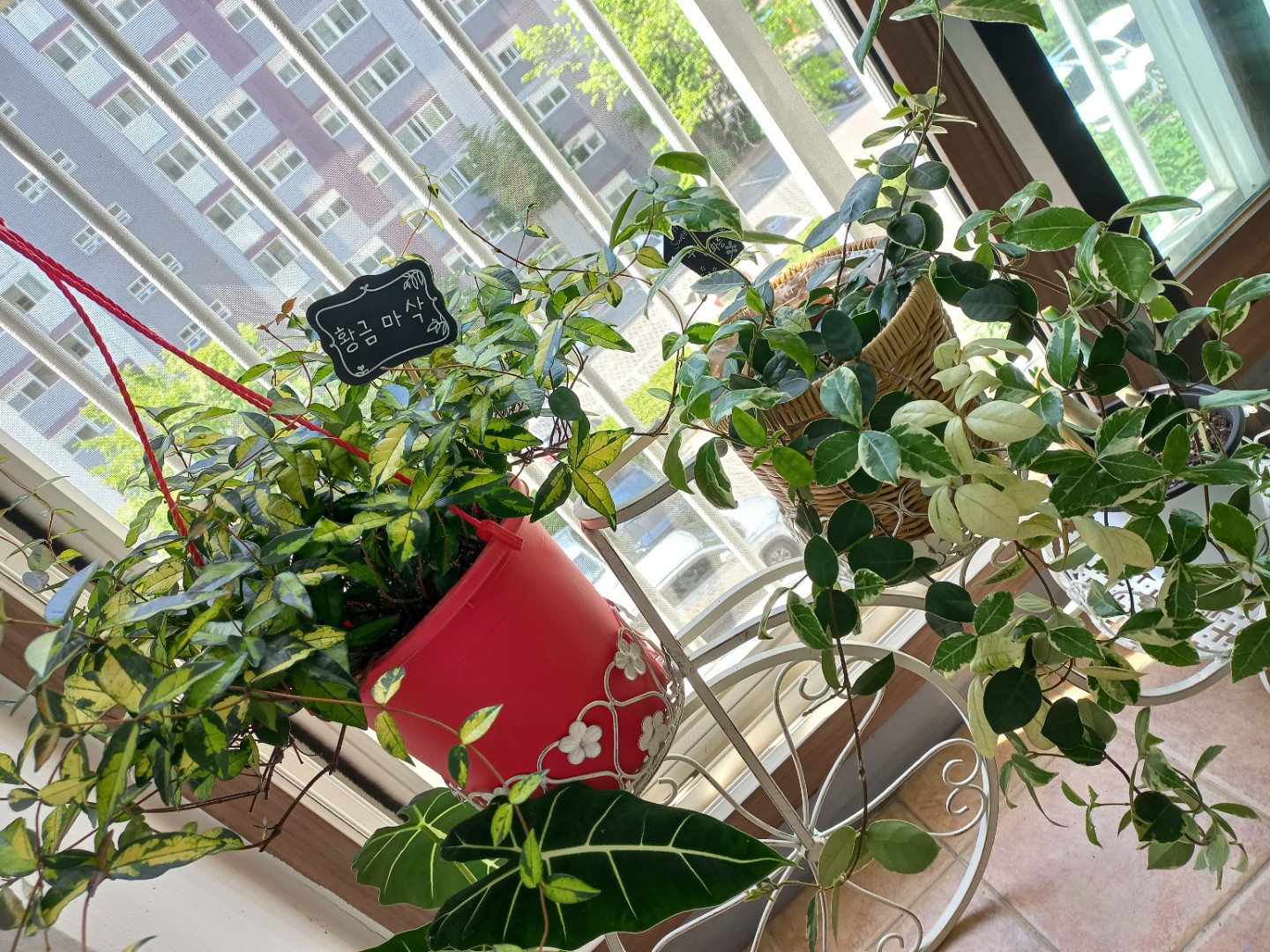 Post image 5