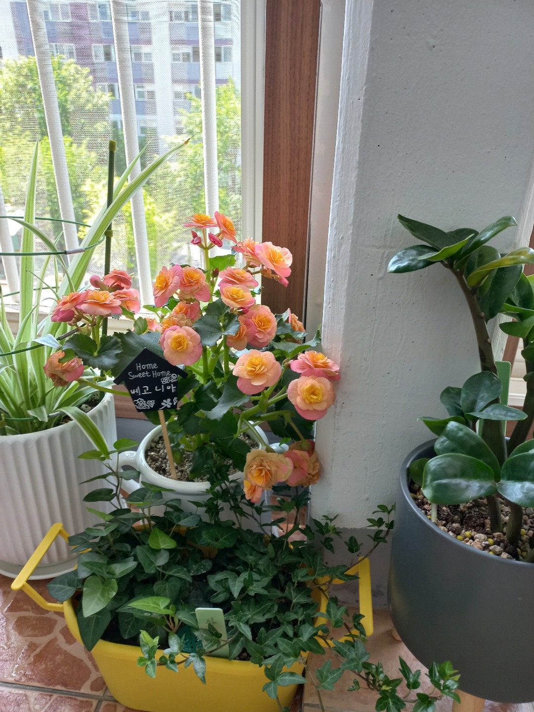 Post image 6