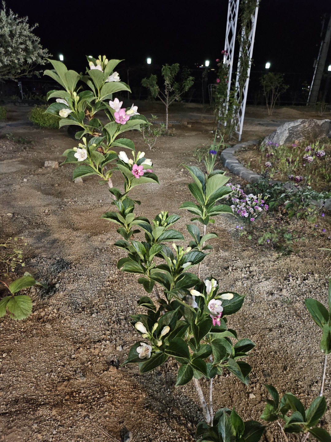 Post image 2