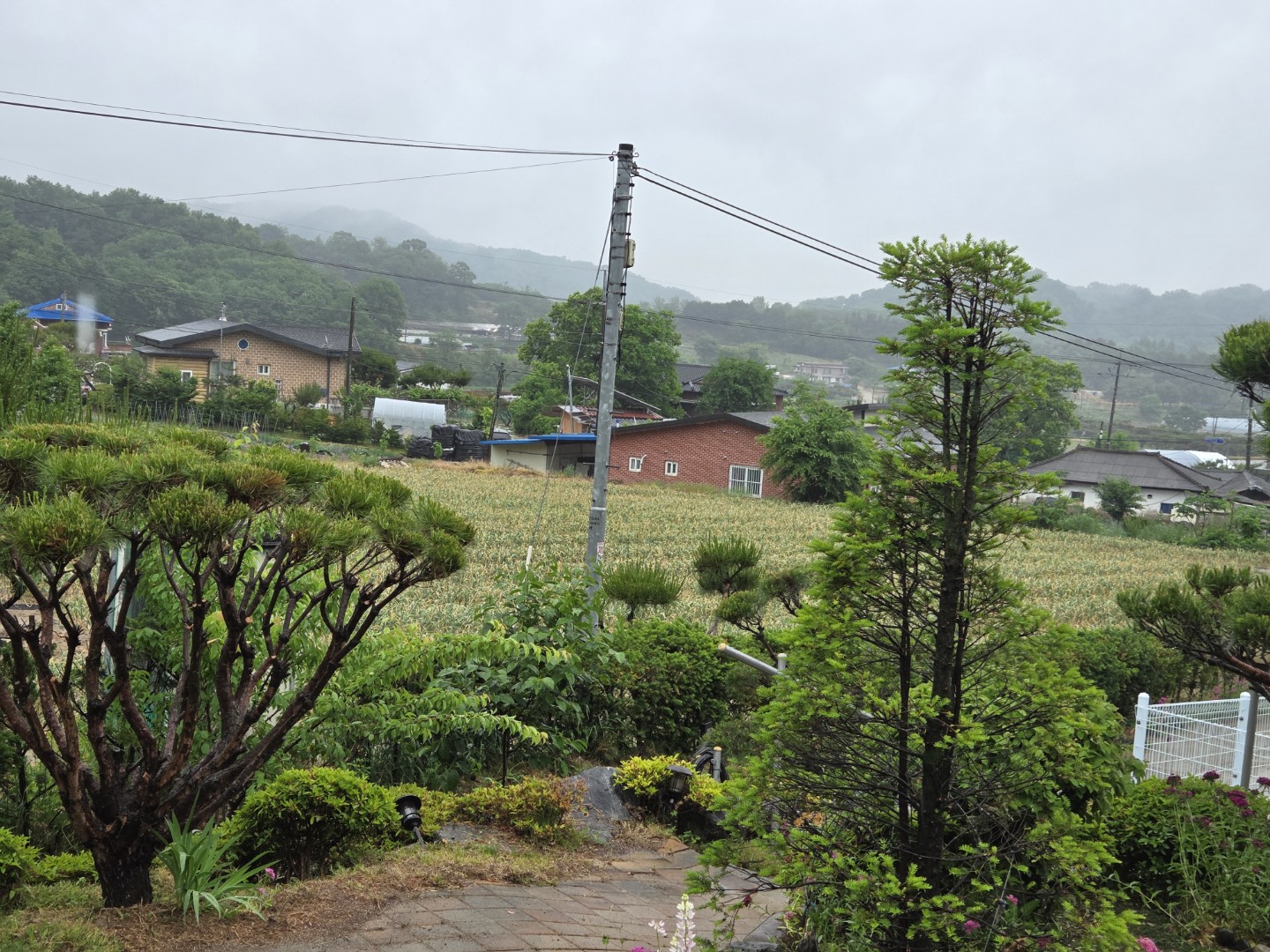 Post image 9