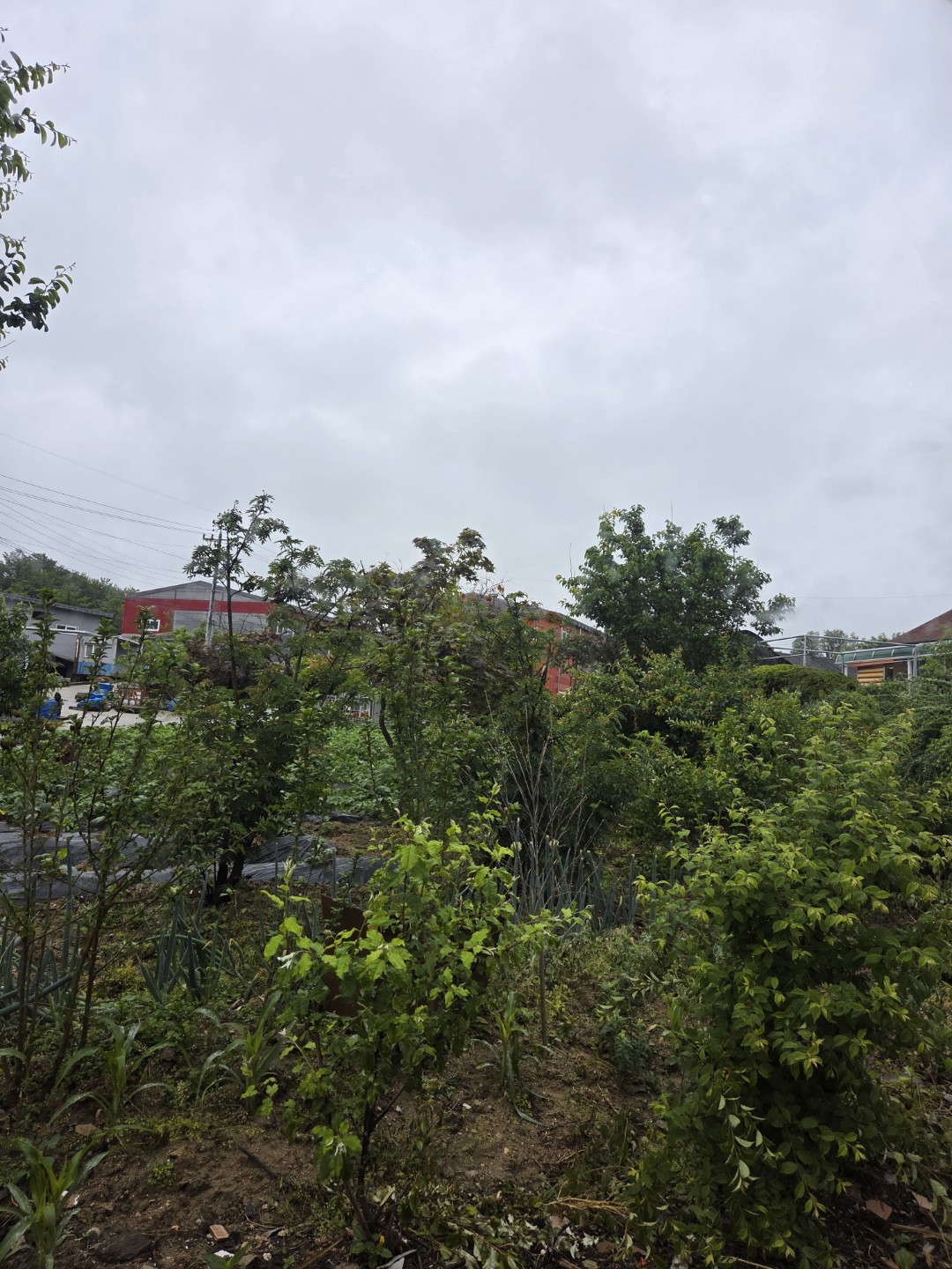 Post image 8