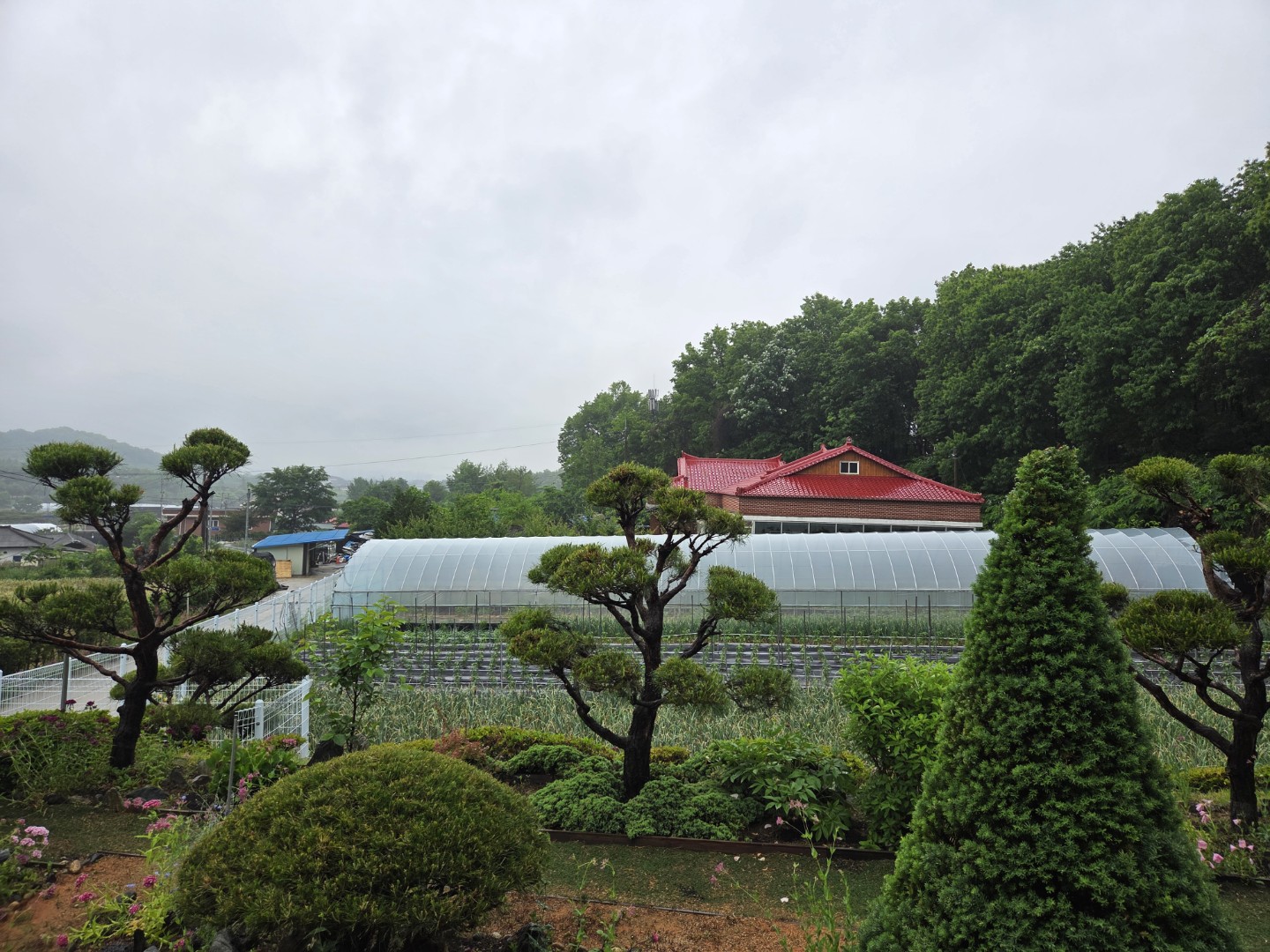 Post image 10