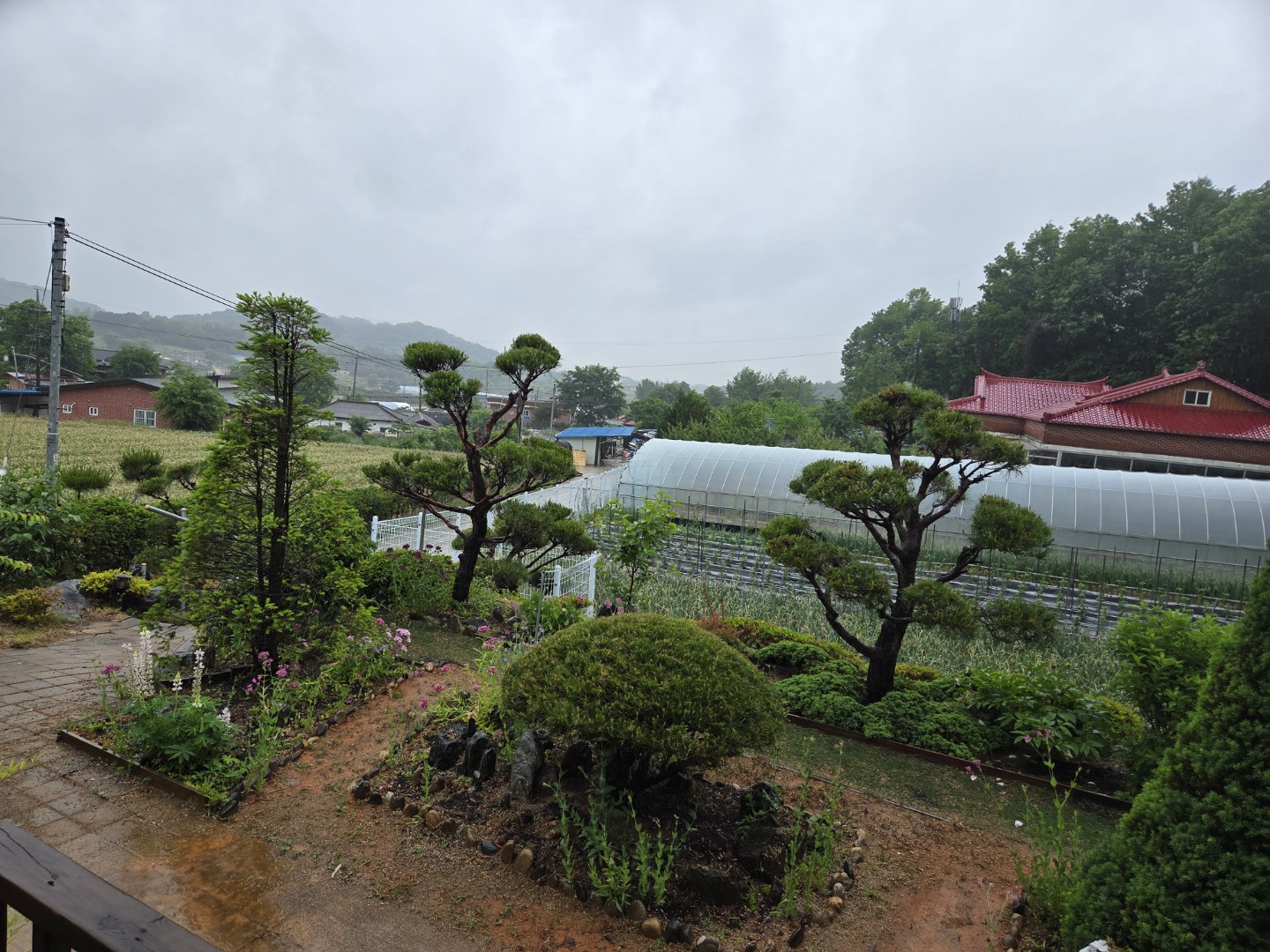 Post image 10