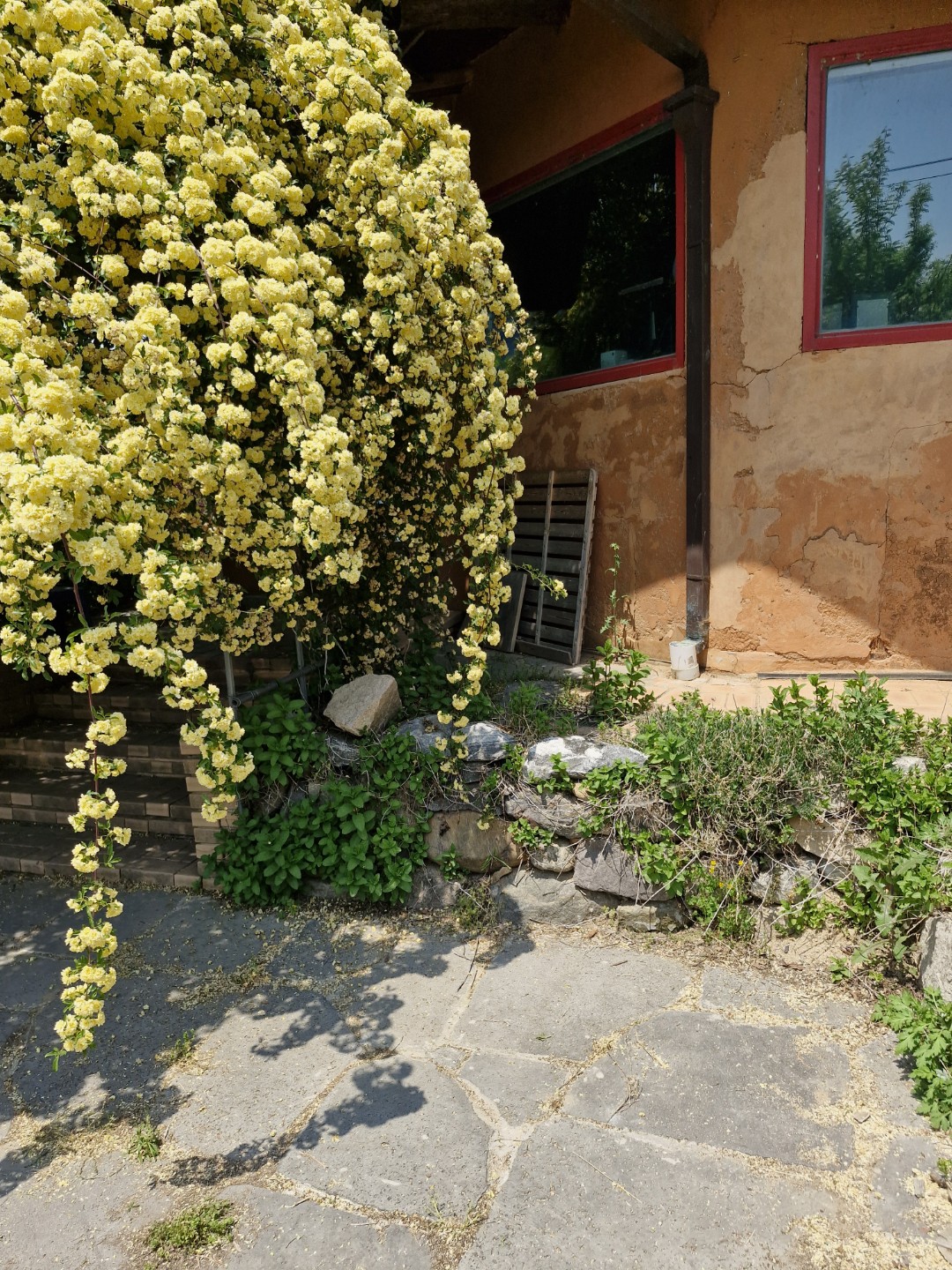 Post image 2