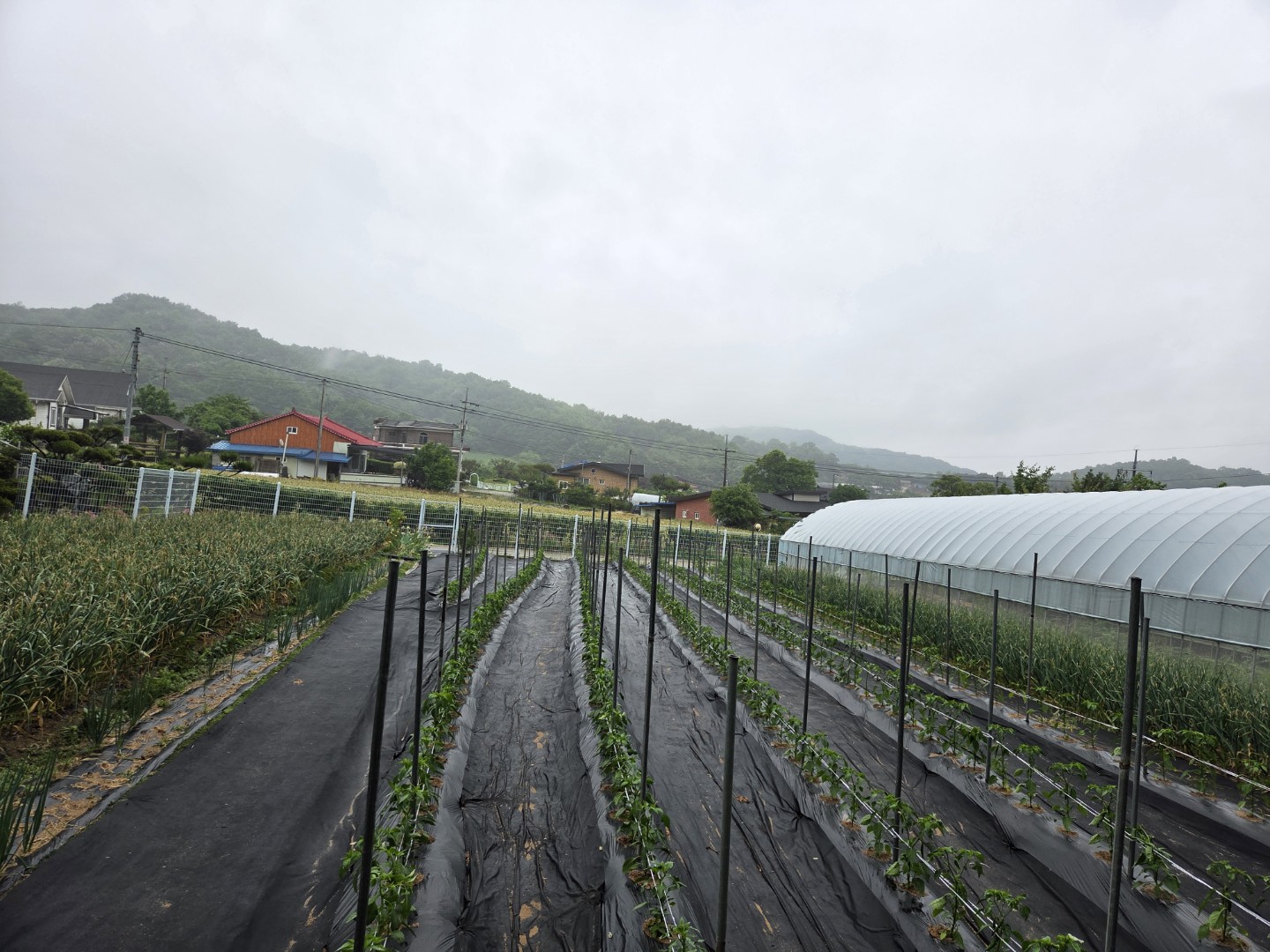 Post image 9