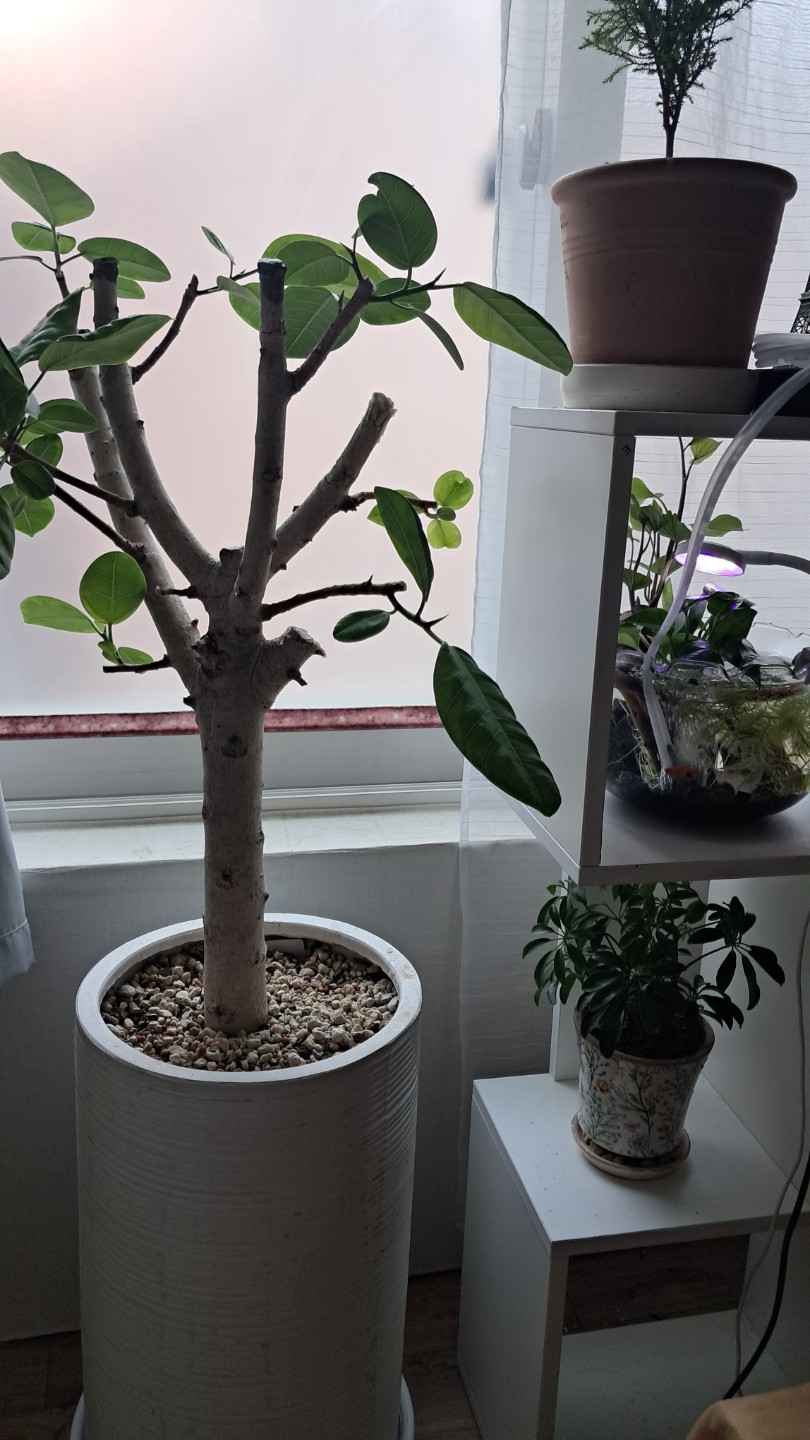 Post image 2