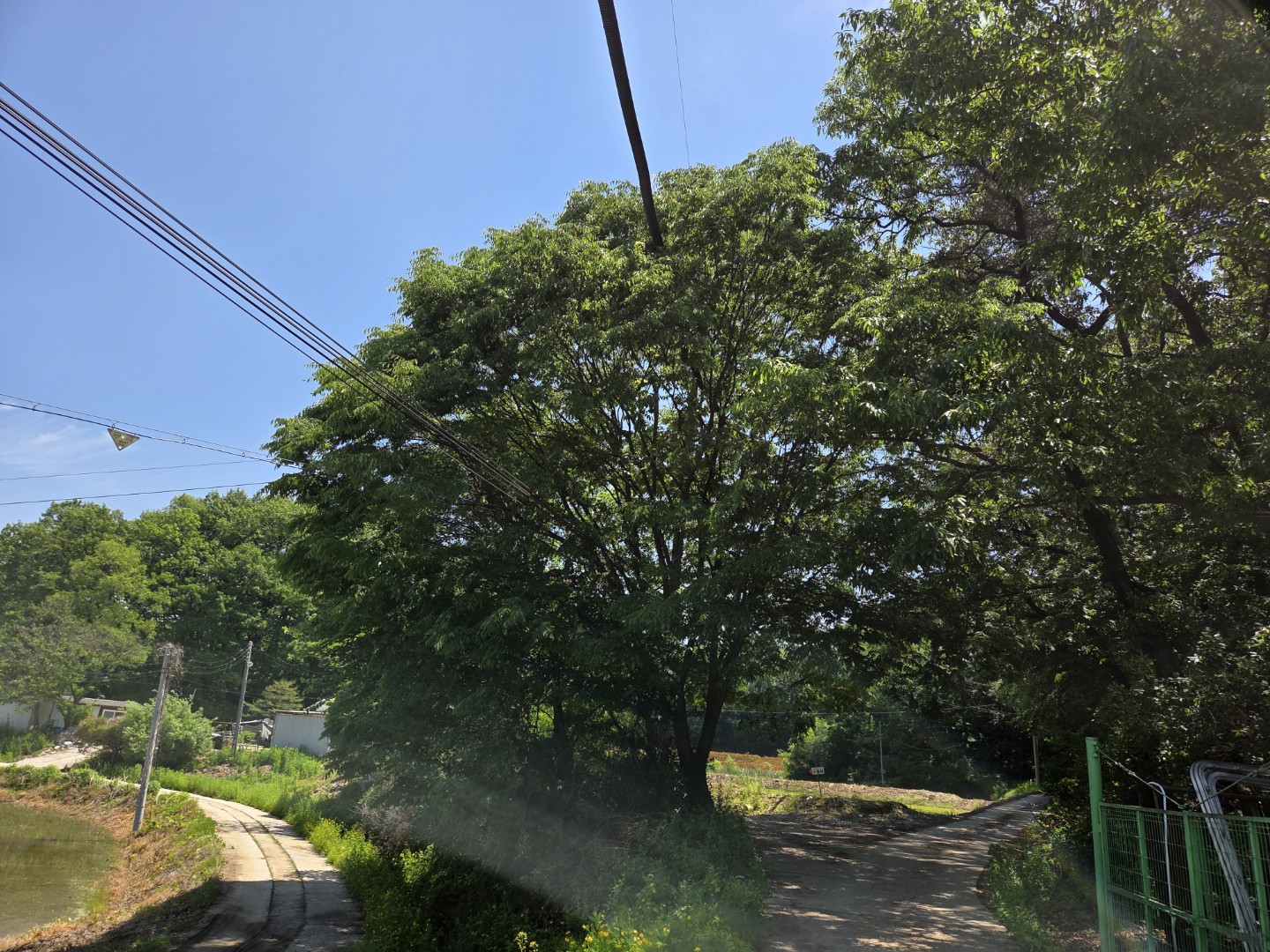 Post image 9